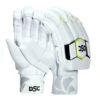 X Lite 4.0 Cricket Batting Gloves -MR Cricket Hockey DSC XLite 4 Cricket Batting Gloves 2022
