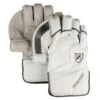 N Series Wicket Keeping Gloves 1 N Series Wicket Keeping Gloves -MR Cricket Hockey Newbery N Series Wicket Keeping Gloves e1641914764349