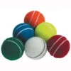 All Play Cricket Training Ball 2 All Play Cricket Training Ball -MR Cricket Hockey Readers All Play Coloured Cricket Tennis Balls