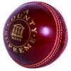 County Supreme A Cricket Ball -MR Cricket Hockey Readers County Supreme A Cricket Ball